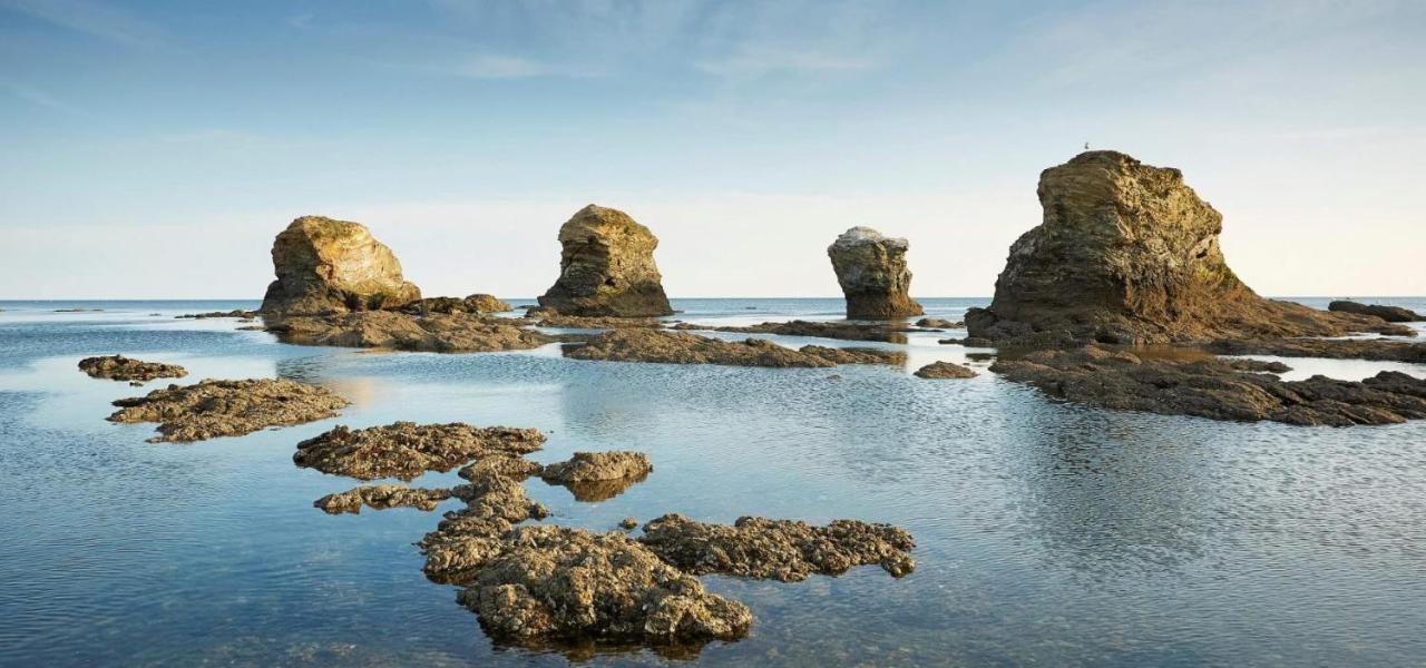 Appart Bord De Mer, 6 Places, Plage A 250 M, Dune, Parking Gratuit, Rez De Chaussee Sureleve Saint-Hilaire-de-Riez Exterior photo